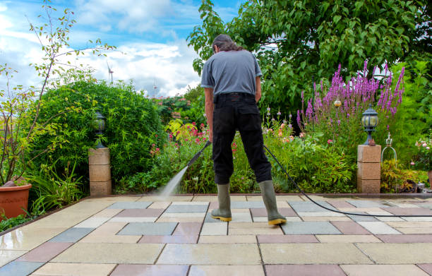 Best Driveway Pressure Washing  in Nogales, AZ