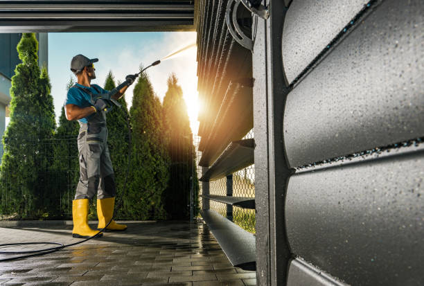 Best Graffiti Removal  in Nogales, AZ